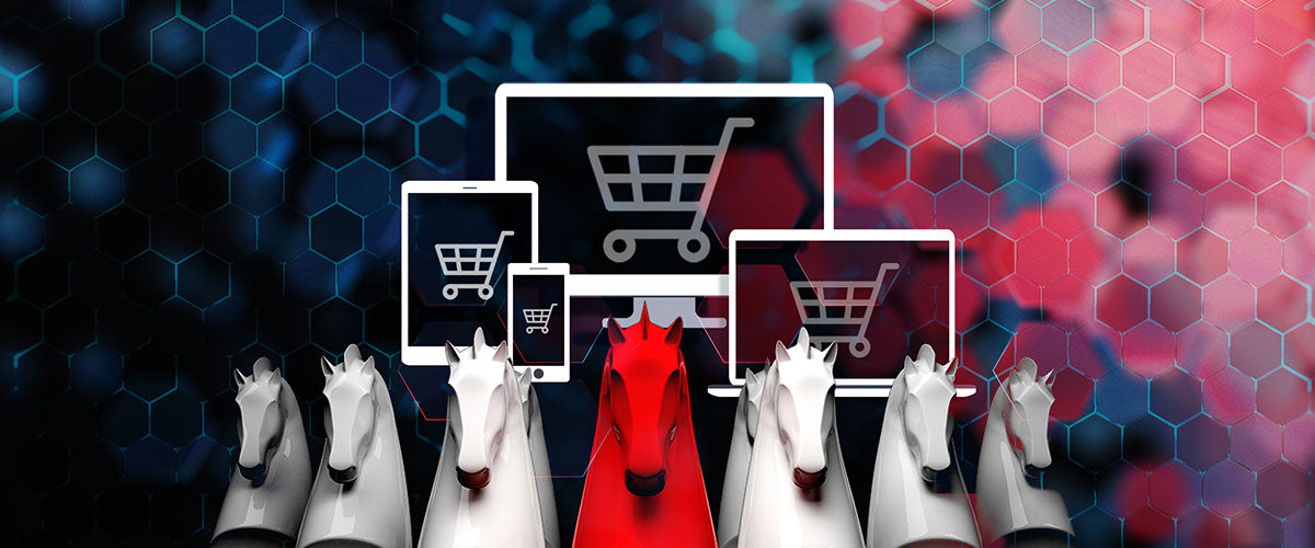 Ecommerce Development Solutions